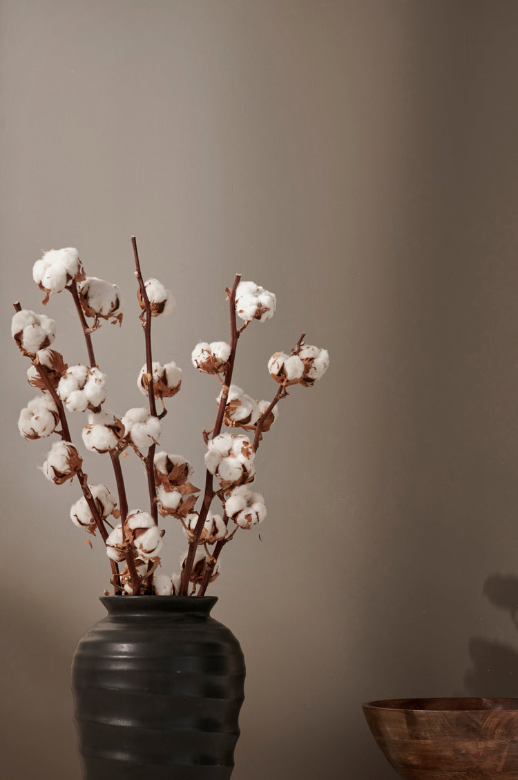 Bomullskvistar