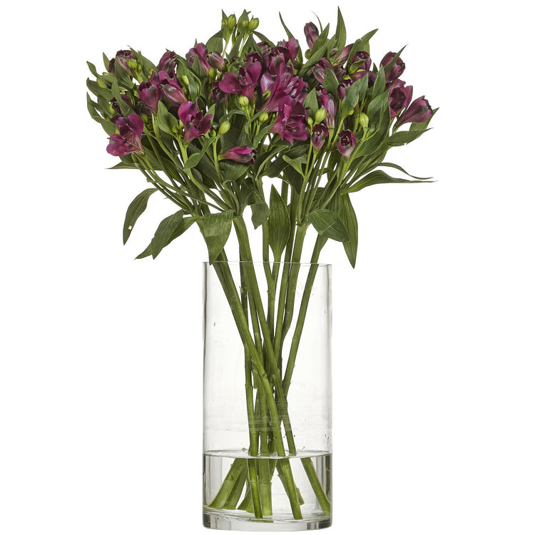 Snittblommor bukett Alstroemeria Cleo lila