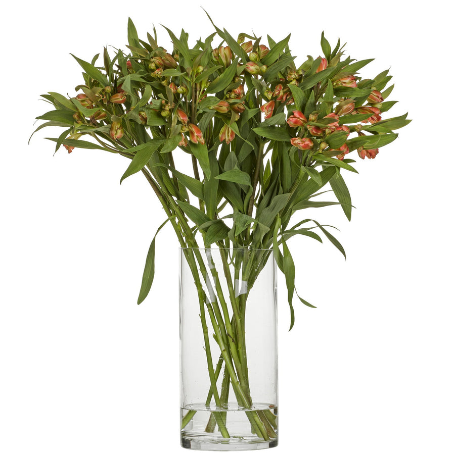 Blommor snittblomma bukett Alstroemeria Dancing Queen orange