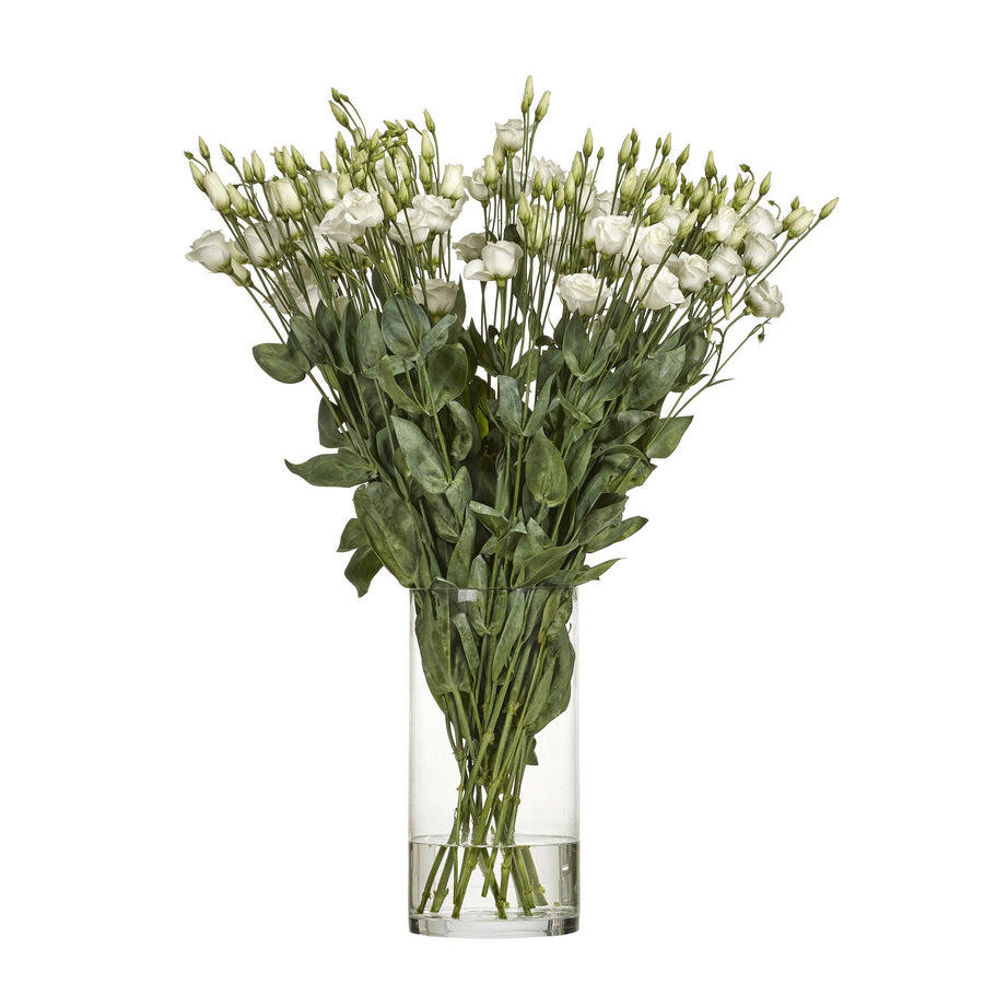 Prärieklocka Rosita vit