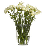 Freesia Ambassador