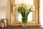 Freesia Ambassador