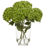 Hortensia Magic Emerald