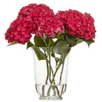 Hortensia Rodeo