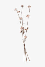 Bomull rosa