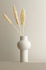 Indian corn