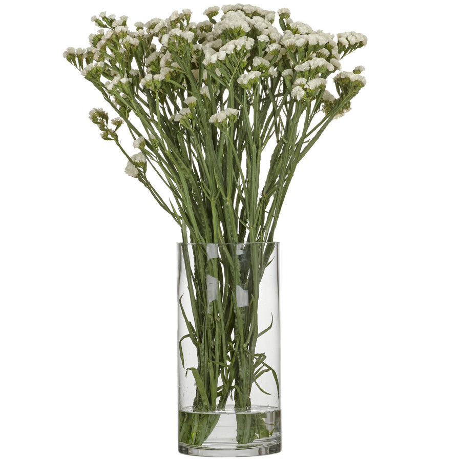 Statice Starlight Wings