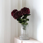 Hortensia mon Amour