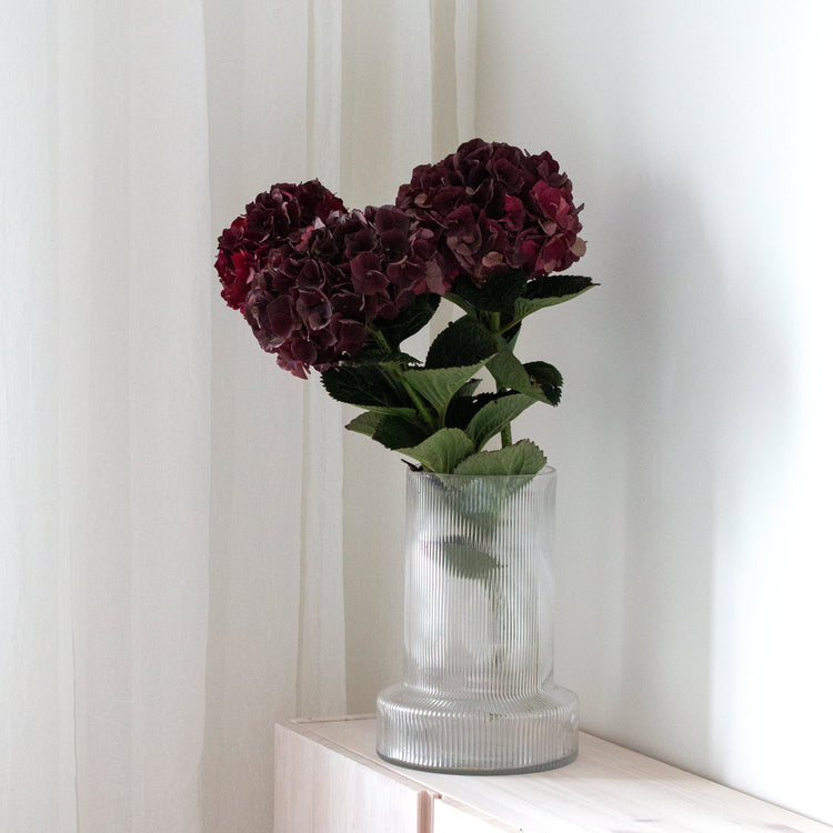 Hortensia mon Amour