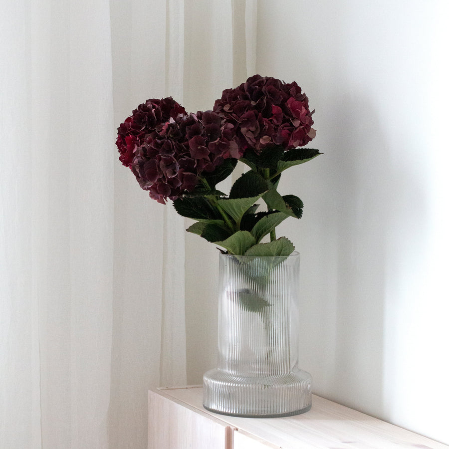 Hortensia mon Amour