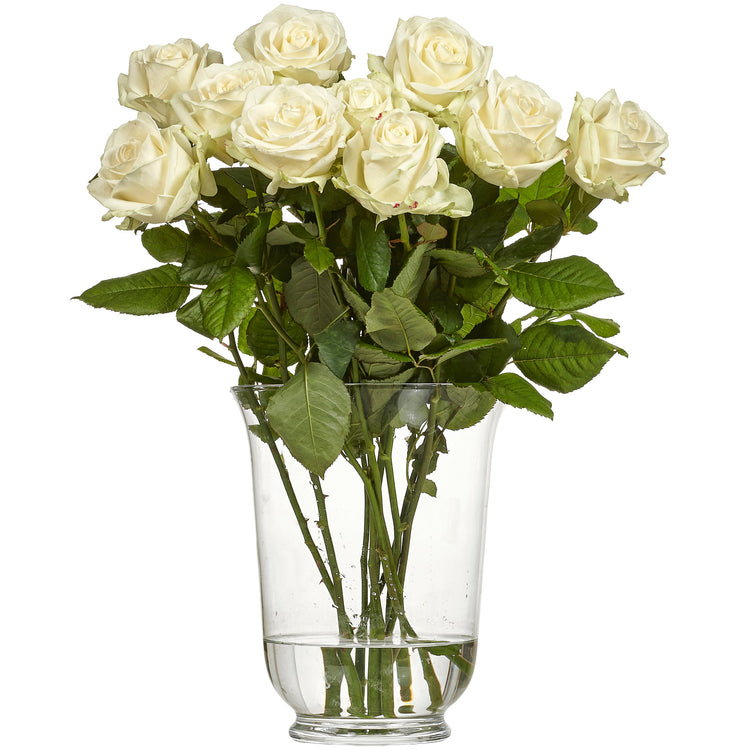 Ros Avalanche/White Naomi