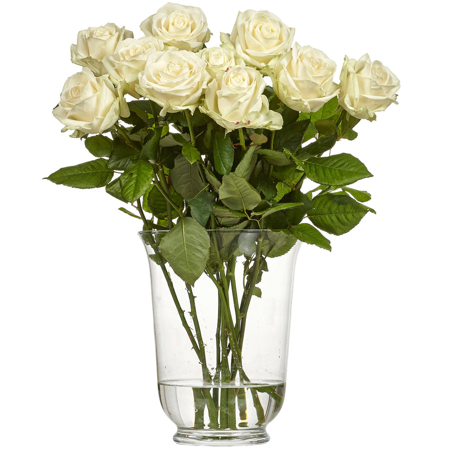 Ros Avalanche/White Naomi