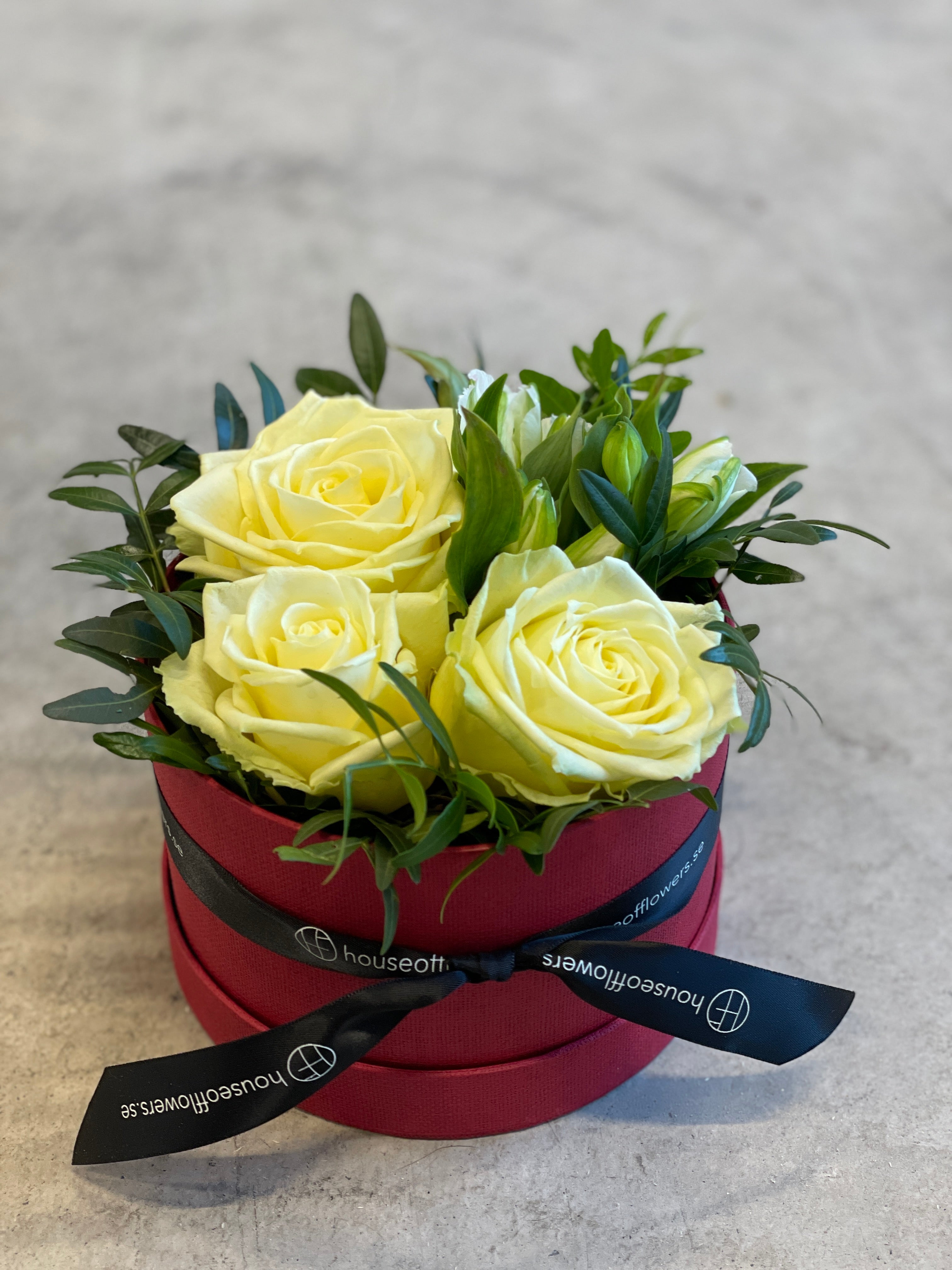 Ljusa rosor blombox med blommor bukett presentförpackning